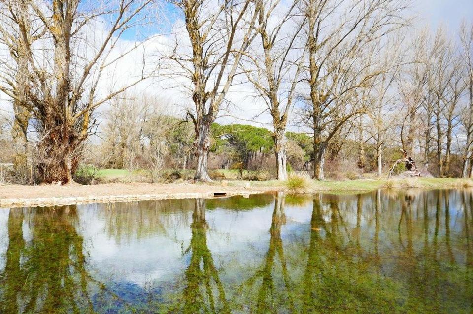 Гостевой дом El Perfume Del Almendro Кинтанилья-дель-Агуа Экстерьер фото